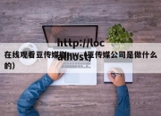 在线观看豆传媒剧mv（豆传媒公司是做什么的）